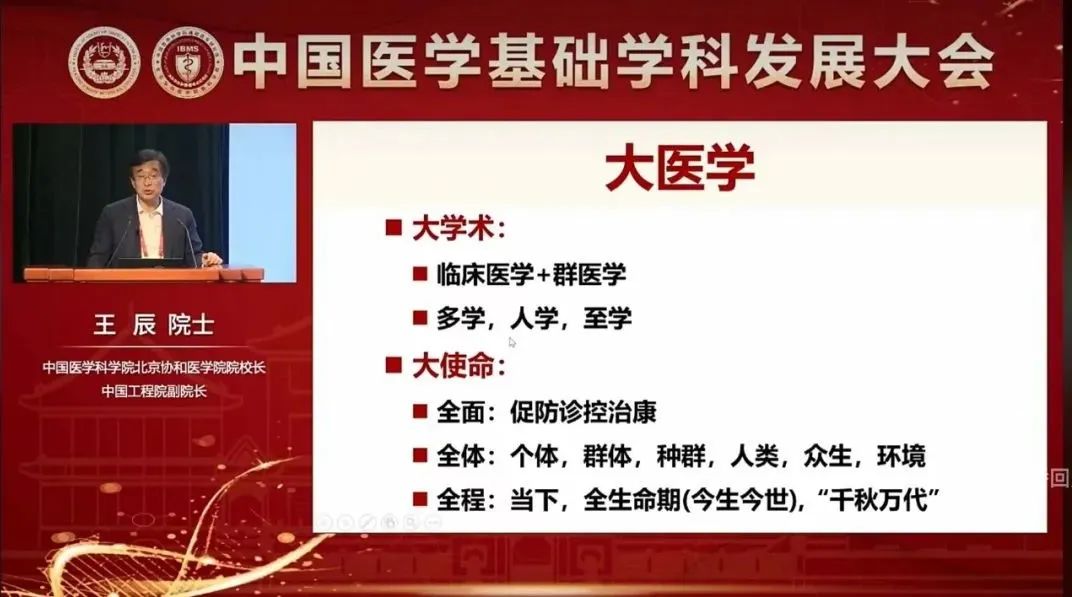 王辰.jpg